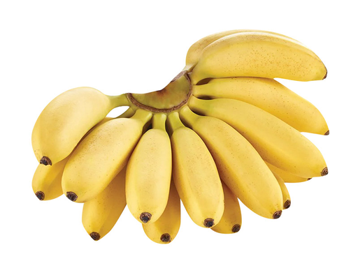 Burro Banana 35LB