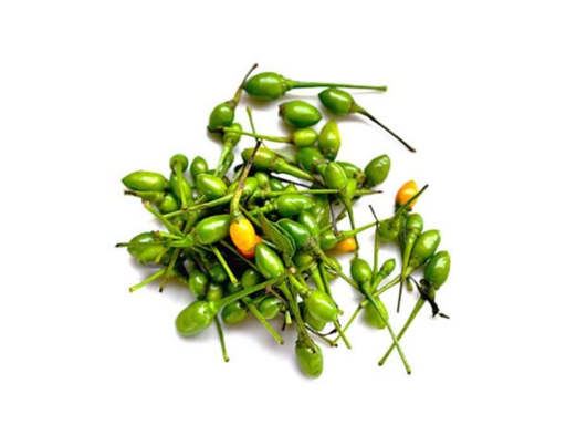 Piquin / Chiltepe 183oz