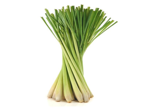 Lemon Grass 40LB