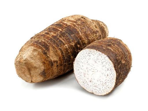 Malanga Blanca / White 35LB