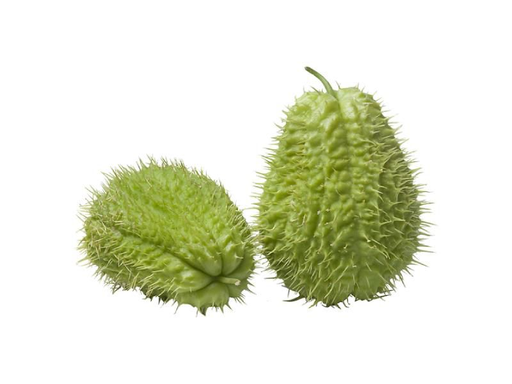 Chayote con Espinas 38LB