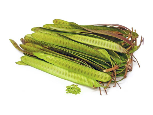 Guaje Verde / Green 24LB