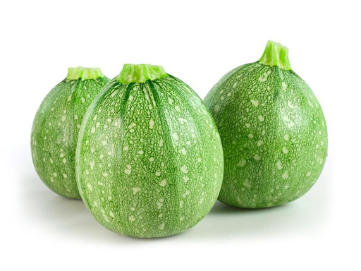 Tatuma Squash 36LB